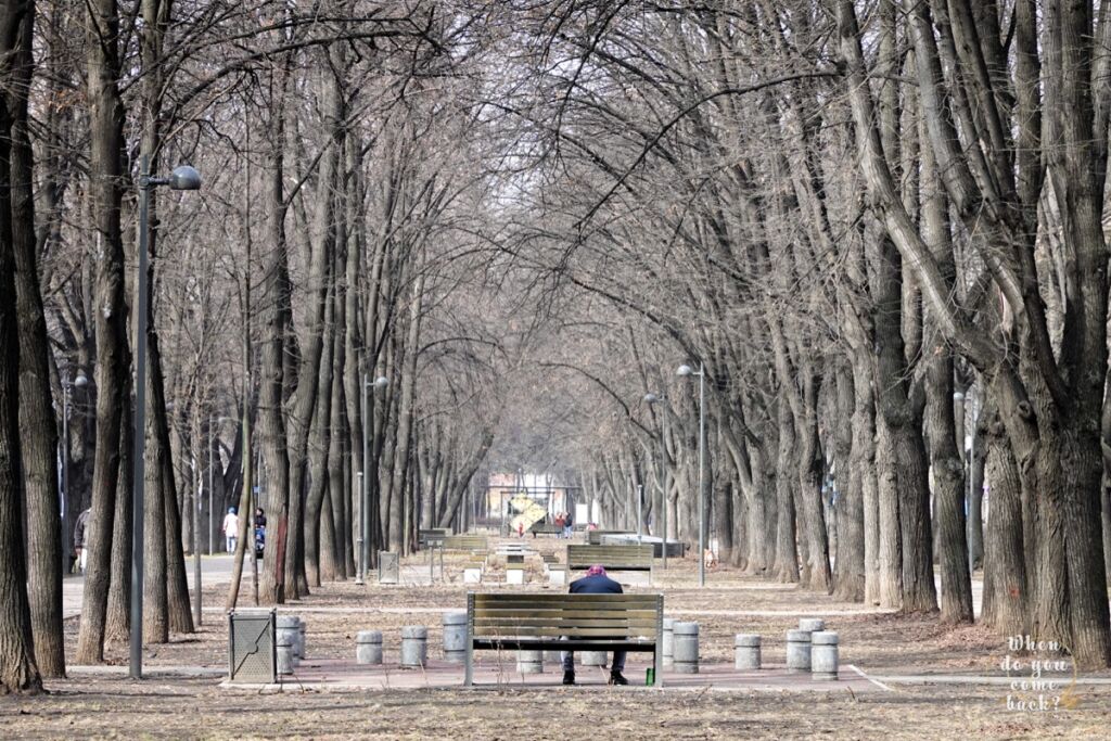 Garden on Serpukhovskiy avenue