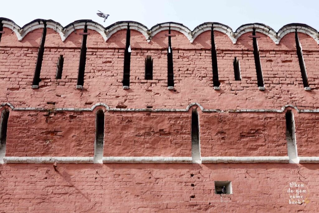 Wall of the Donskoy monastery